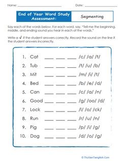 End of Year Word Study Assessment: Segmenting