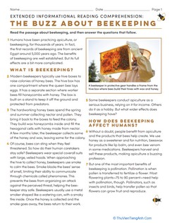 Extended Informational Reading Comprehension: The Buzz About Beekeeping