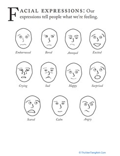 Facial Expressions