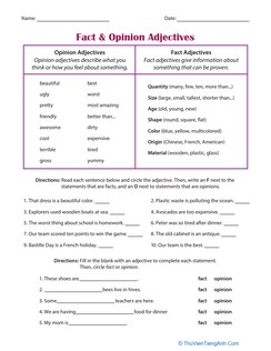 Fact & Opinion Adjectives