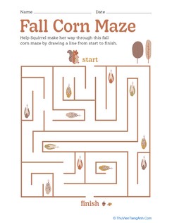 Fall Corn Maze
