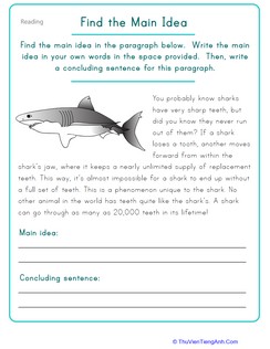 Find the Main Idea: Shark