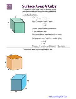 Find the Surface Area: Cube