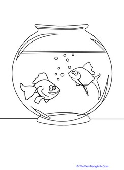 Color a Fish Bowl