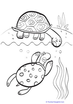 Turtle Friends Coloring Page