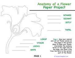 Anatomy of a Flower Paper Project