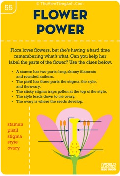 Botany Basics: Flower Power