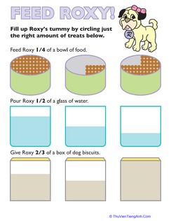 Food Fractions: Feed Roxy