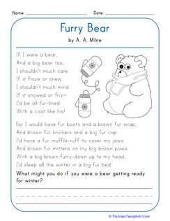 Furry Bear