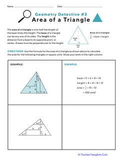 Geometry Detective: Area of a Triangle #3