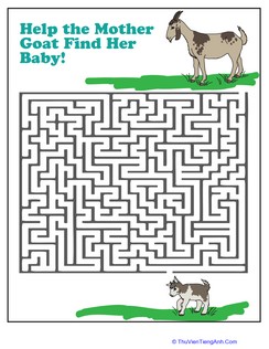 Goat Maze