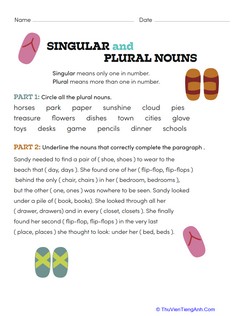 Great Grammar: Singular and Plural Nouns