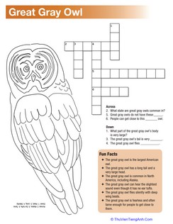 Great Gray Owl Facts