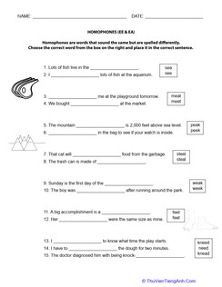 Homophones: “Ee” and “Ea”