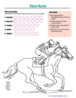 Horse Fun: Race Horse