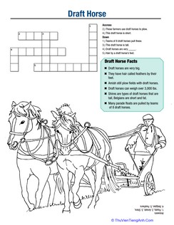 Horse Fun: Draft Horse