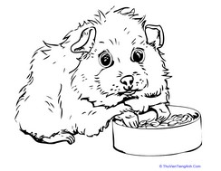 Guinea Pig Coloring Page
