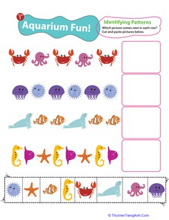 Identifying Patterns: Aquarium Fun!