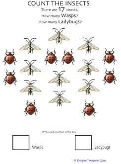 Insect Counting Worksheet: Wasps and Ladybugs