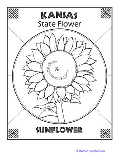 Kansas State Flower