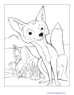 Kit Fox Coloring Page