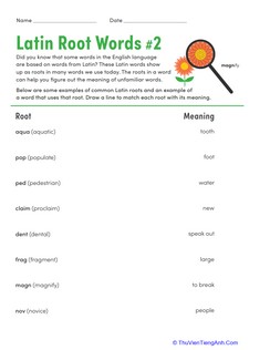 Latin Root Words #2