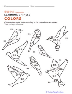 Learn Chinese: Color the Tropical Birds
