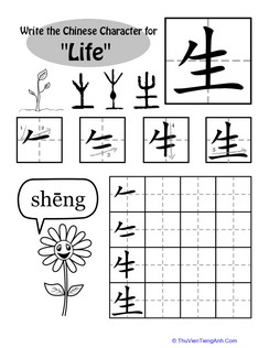 Learning Chinese Characters: “Life”