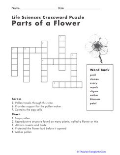 Life Science Crossword: Parts of a Flower