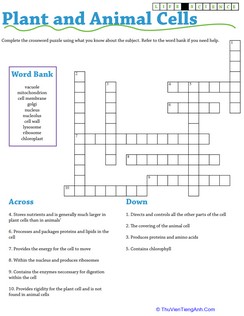 Life Science Crossword: Plant and Animal Cells