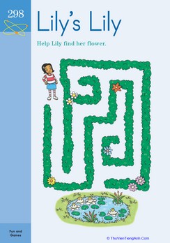 Lily’s Lily Maze
