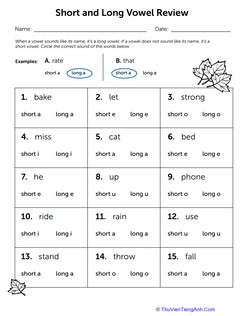 Long and Short Vowel Review
