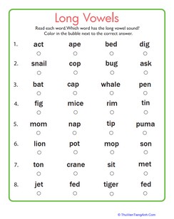 Long Vowel Quiz