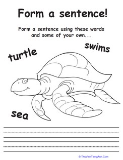 Sea Turtle Sentences