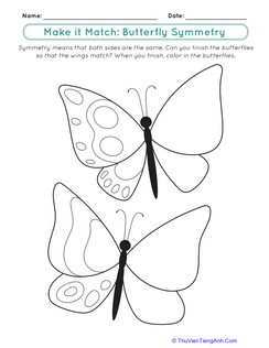 Make it Match: Butterfly Symmetry