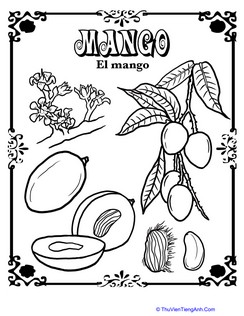 Mango in Spanish