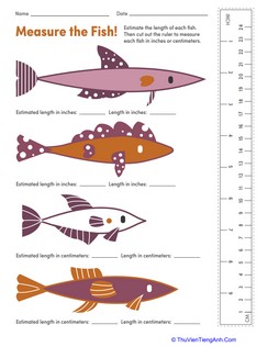 Measure a Fish: Centimeters & Inches