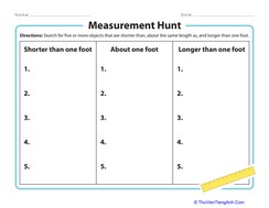 Measurement Hunt