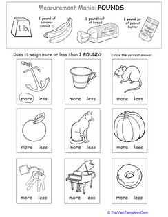 Measurement Mania: Pounds