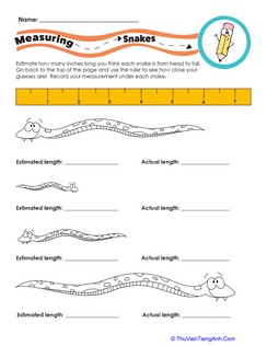 Measuring Snakes