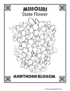 Missouri State Flower