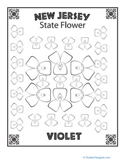 New Jersey State Flower