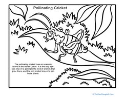 New Species: Pollinating Cricket