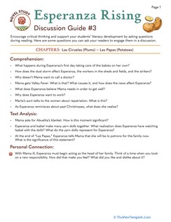 Novel Study: Esperanza Rising: Discussion Guide #3