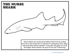 Nurse Shark Coloring Page