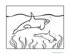 Orca Coloring Page