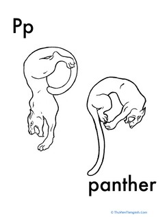 P for Panther