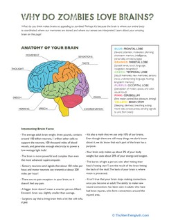 Parts of the Brain