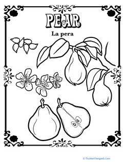 Pear in Spanish