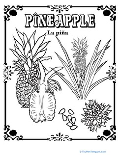 Pineapple in Spanish